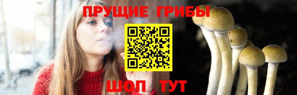 Псилоцибиновые грибы Psilocybine cubensis  Вход с VPN  Электрогорск  Галлюциногенные грибы мухоморы 